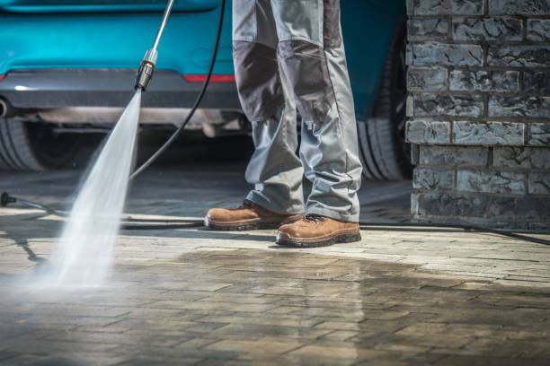 Best Gutter Cleaning  in Greenville, DE